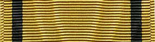 China Relief Expedition Medal (Marine Corps)
